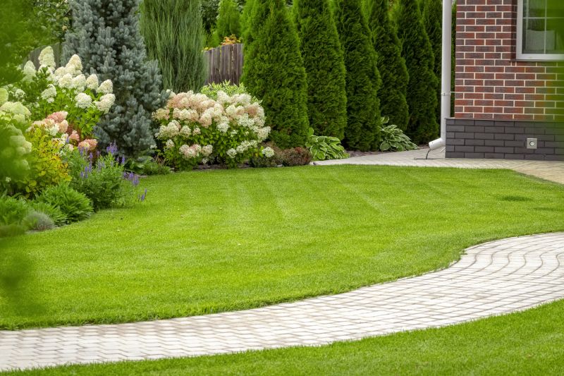 Elegant Paver Walkway